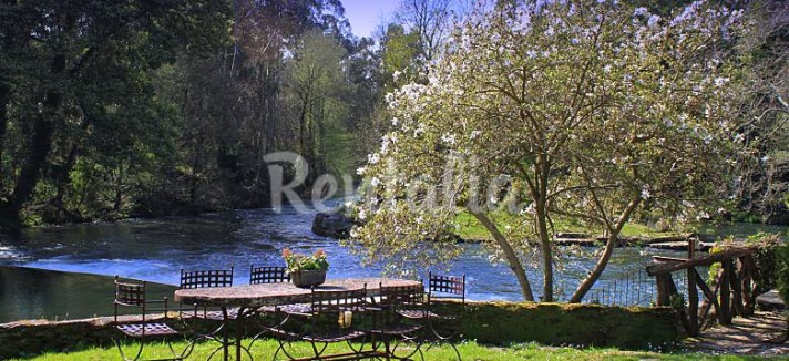 h.2920496.780.520.0.ffffff.wm_.fe29cb5a