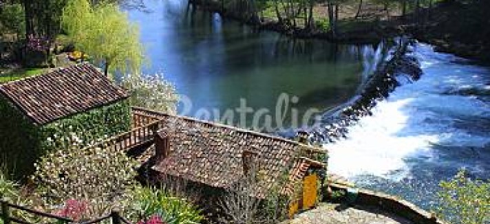 h.2921040.375.250.0.ffffff.wm_.f2b042ef