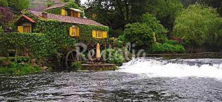 h.2921059.375.250.0.ffffff.wm_.daea4514