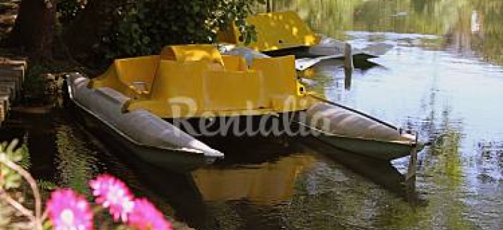 h.2921105.375.250.0.ffffff.wm_.f8254004