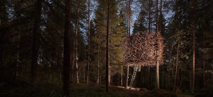 casas_en_arboles_196956568_1800x1200