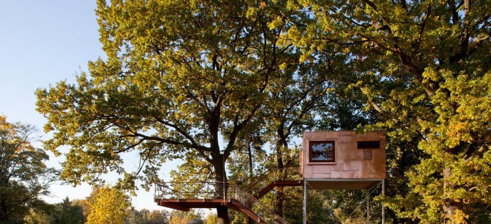 casas_en_arboles_815364425_1800x1200