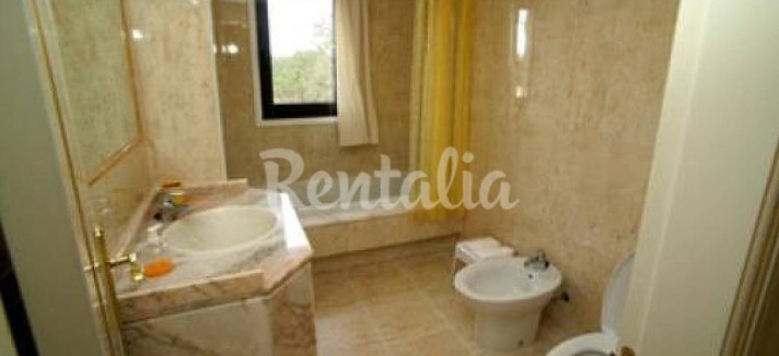 h.3833.1070.680.0.ffffff.wm_.3098bf61