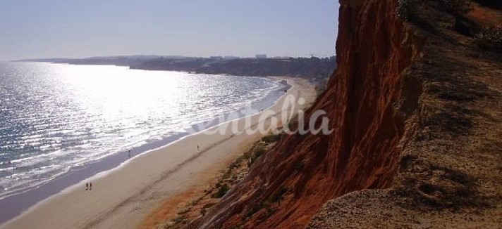 h.726023.1070.680.0.ffffff.wm_.3459a3c2