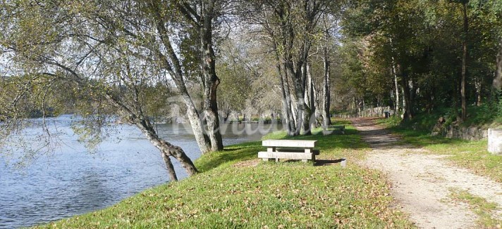 h.3953269.1070.680.0.ffffff.wm_.e477db6f