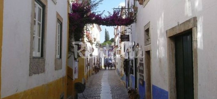 h.4119789.1070.680.0.ffffff.wm_.43ce03b9