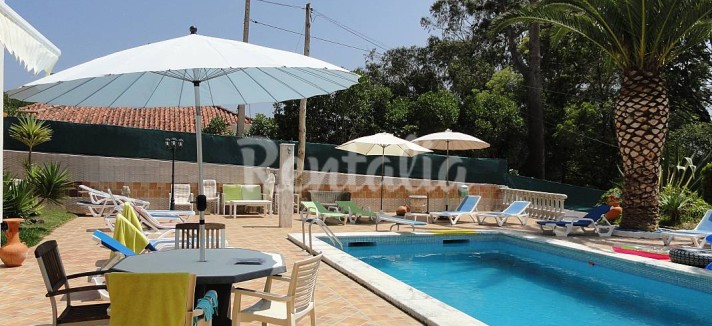 h.2734087.1070.680.0.ffffff.wm_.2642e3f5