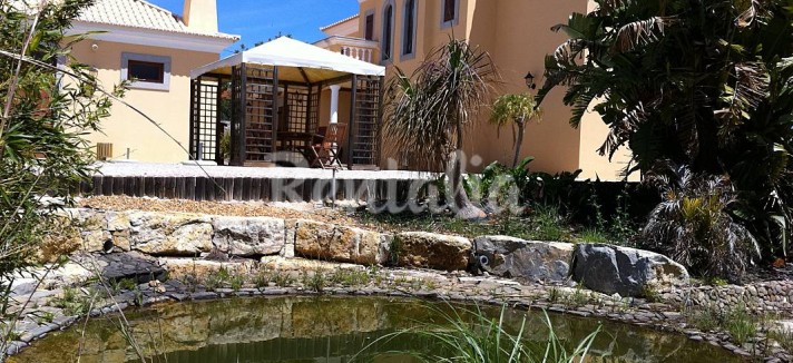 h.4270663.1070.680.0.ffffff.wm_.0889daad