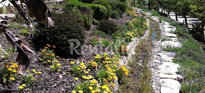 h.4270666.1070.680.0.ffffff.wm_.45723d8b