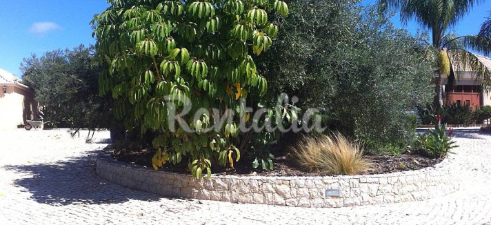 h.4270685.1070.680.0.ffffff.wm_.b1c9315e