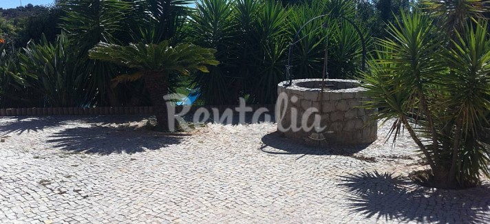 h.4270691.1070.680.0.ffffff.wm_.08d73765