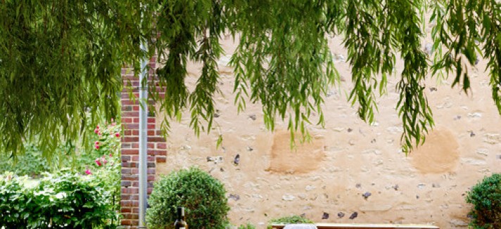 transitional-patio