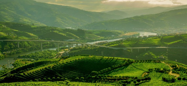 640x450_quinta_do_vallado_140x87