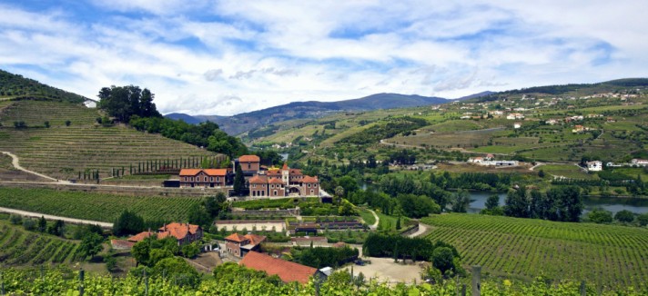 975x660_11-vineyard-pool-villa-exterior_panorama_300x185