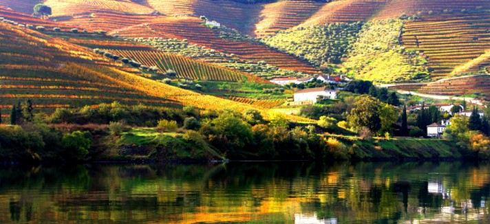 975x660_douro_valley_45_140x87