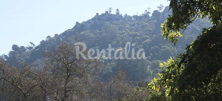 h.1187996.1070.680.0.ffffff.wm_.73d64278