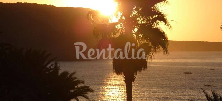 h.1232661.1070.680.0.ffffff.wm_.adde754f