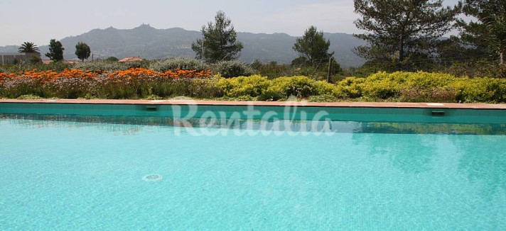 h.1898725.1070.680.0.ffffff.wm_.a8604dff