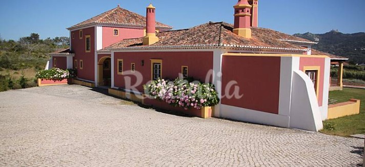 h.1898737.780.520.0.ffffff.wm_.078d3d43