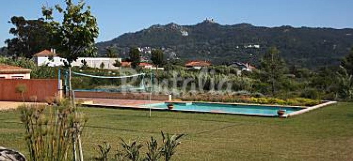 h.1898740.375.250.0.ffffff.wm_.fd3cdfb1