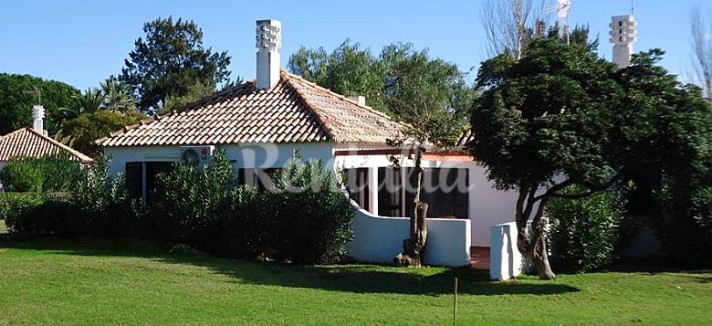 h.2078124.780.520.0.ffffff.wm_.963a103d