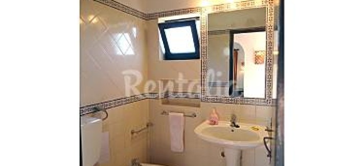 h.2078132.375.250.0.ffffff.wm_.0d585c4a