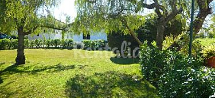 h.2078133.375.250.0.ffffff.wm_.0b5fda4b