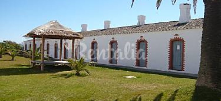 h.2078137.375.250.0.ffffff.wm_.f3ac31a5