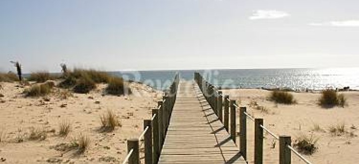 h.2078138.375.250.0.ffffff.wm_.0200ab01