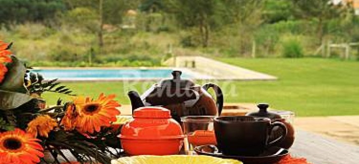 h.749236.375.250.0.ffffff.wm_.c1ffcce8