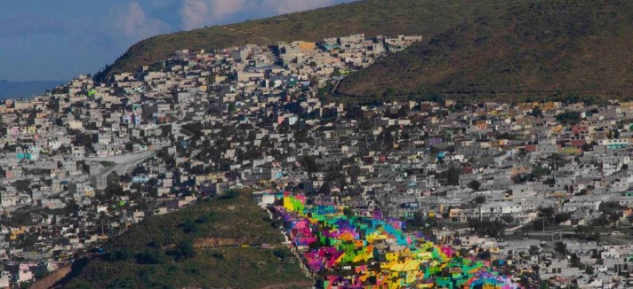 palmitas_03