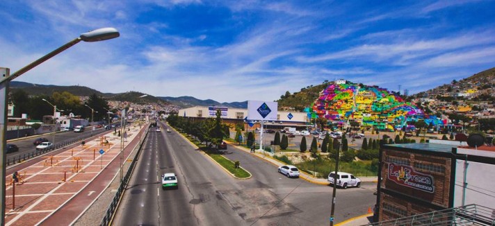 palmitas_04