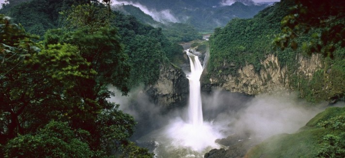 bosque-lluvioso-amazonas