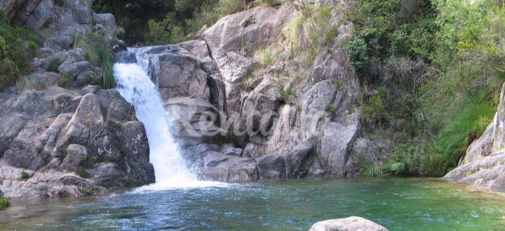 h.1100960.1070.680.0.ffffff.wm_.6cf88f99