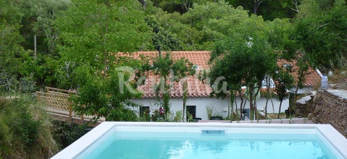 h.2895870.1070.680.0.ffffff.wm_.b2e7504d