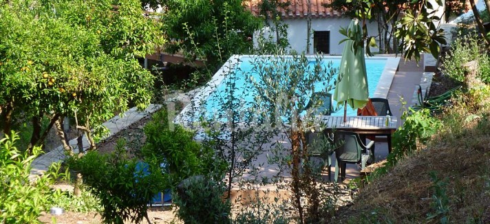 h.2895874.1070.680.0.ffffff.wm_.df9dafb1