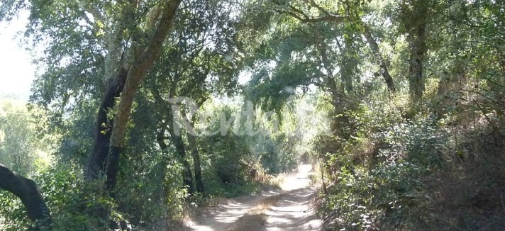 h.2897217.1070.680.0.ffffff.wm_.83651e9a