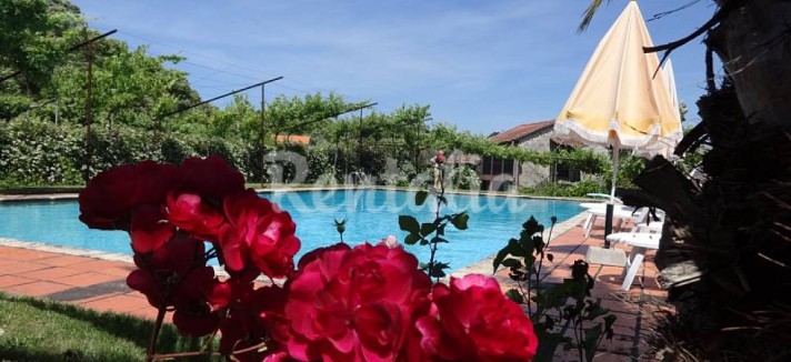 h.3720817.1070.680.0.ffffff.wm_.66a09a5b