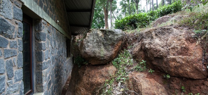hornbill_house_06