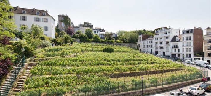 casa_vinedo_paris_01