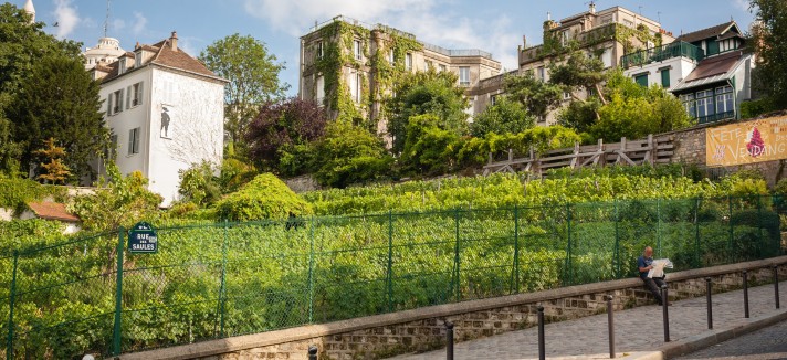 casa_vinedo_paris_07