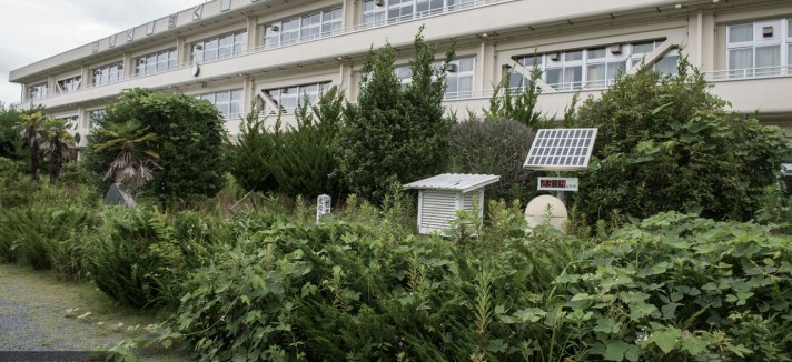 fukushima_h