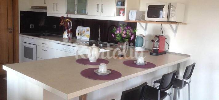 h.3751609.1070.680.0.ffffff.wm_.47c674ed