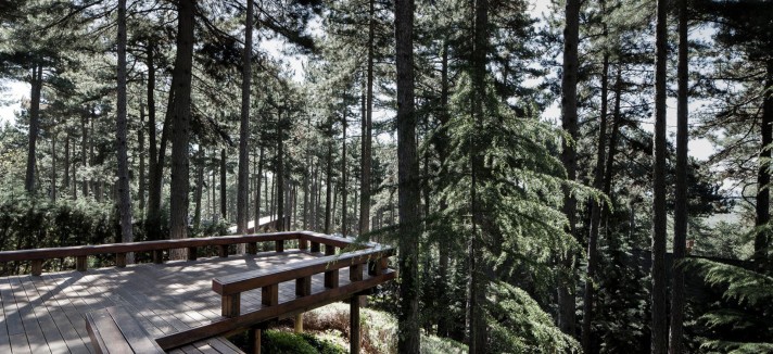 lujo_diseno_naturaleza_03