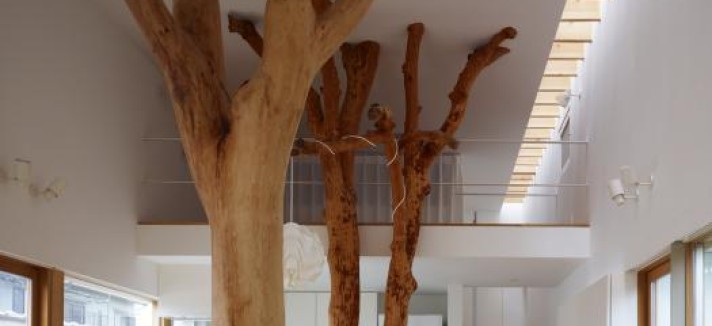 arboles_secos_04
