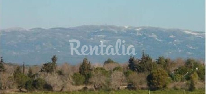 h.21113.1070.680.0.ffffff.wm_.d6593141