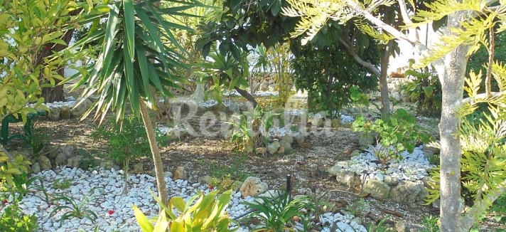 h.5414533.1070.680.0.ffffff.wm_.ae8aca4c