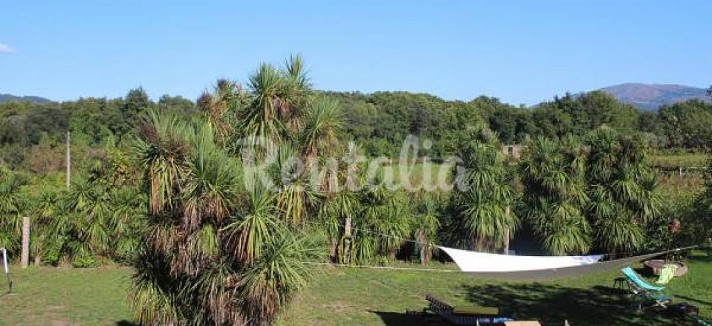 h.5300020.1070.680.0.ffffff.wm_.c3ba7def