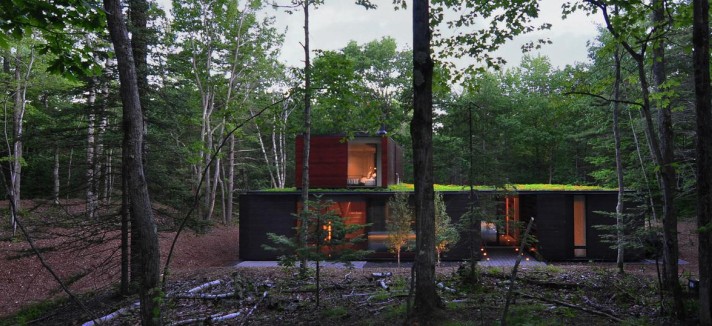 100x100_casa_camaleon