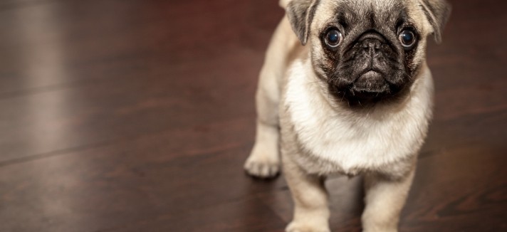 IRS 2015: todas as deduções a que terás direito reveladas hoje pelo Fisco